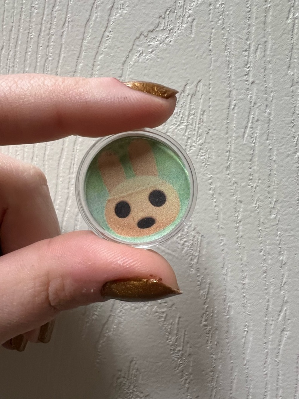 ACNH Amiibo - Coco